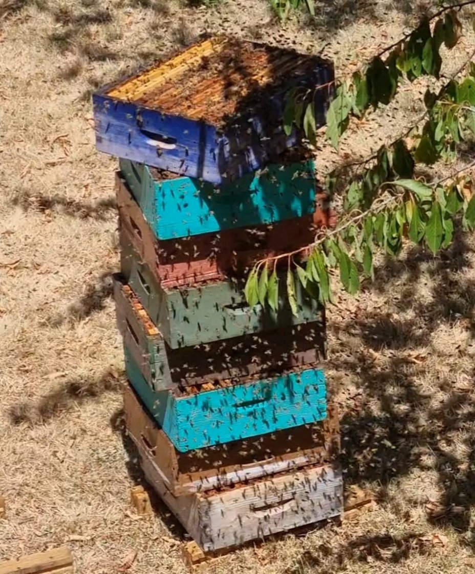 donnés aux abeilles pour qu'elles